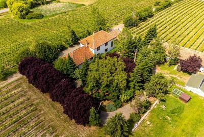 Teren agricol intravilan de 17000 mp, în Șiria