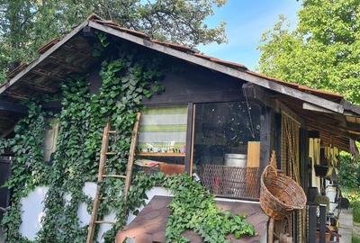 Casa cu Teren Buciumi 7  km de Onesti cu teren 1800 mp - 10