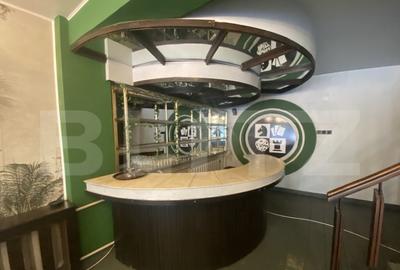 Cladire comerciala, 377 mp, zona Bulevardul Gheorghe Chitu - 14