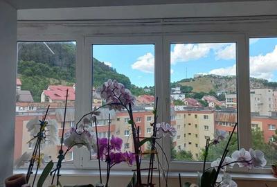 Apartament cu 3 camere decomandat în Drumul Carului - 1