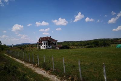 Casă cu 5 camere în Central