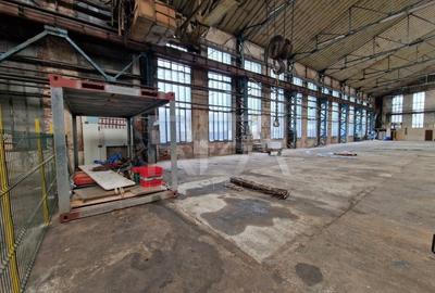 Hala cu pod rulant | Industriilor - 13