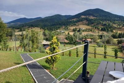 Casă cu 4 camere cu Teren 3450 Mp în Central - 8