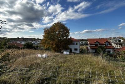 Casa individuala Dezmir 128mp utili 700mp - 7