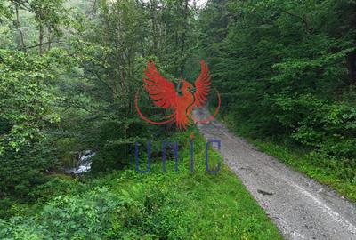 Teren Construcții extravilan de 18000 mp, în Exterior Est - 4