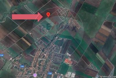 Teren de 10875 mp, în Hălchiu - 2