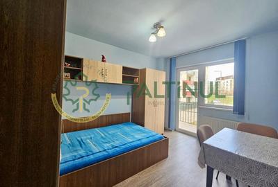 Apartament cu 2 camere decomandat, mobilat în Turnișor - 9