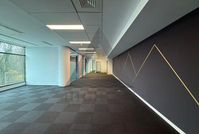 Birou, de 177 mp, în Băneasa