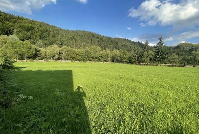 Spațiu comercial, în Central - 2