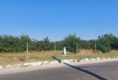 Spațiu comercial, în Baba Ana - 1