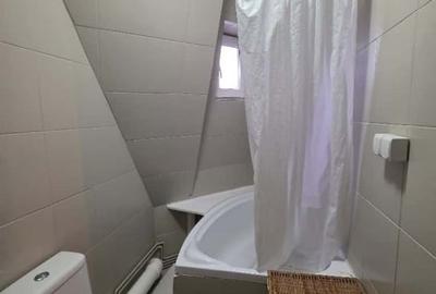 Podul de Fier-Iasicon Towers-2 Camere 54mp- - 10