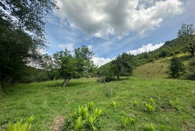 Teren 2 hectare pe Valea Ariesului, zona Scarita-Belioara, pret oportun 2 Eur/mp - 8