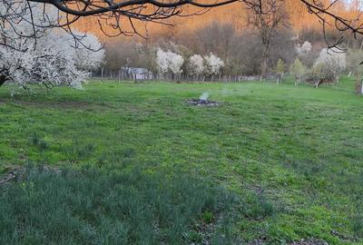 Teren de 3350 mp, în Sâmbotin - 6