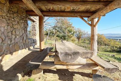 Casa pe deal din busteni, zona superba la 27 km de Oradea - 3