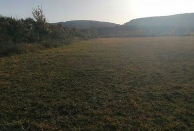 Teren de 3200 mp, în Bănești - 2