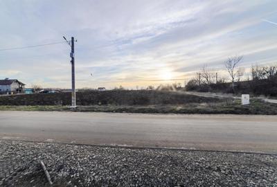 Teren în Domnești - 9