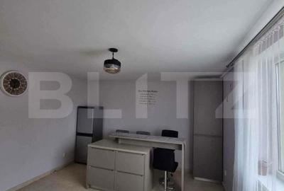 Apartament cu 3 camere decomandat în Calea Moldovei - 11