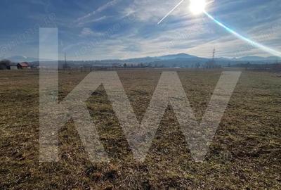 Teren intravilan , cu certificat de urbanism, Sibiu - Zona Muzeul Astra - 3