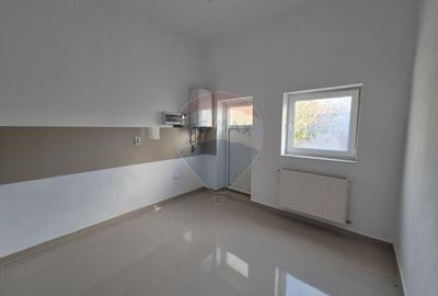 Spațiu comercial, de 118 mp, în Pianu de Jos - 3