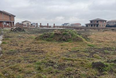 Teren Intravilan, Autorizatie de constructie, Puz Aprobat - Sacalaz - 4