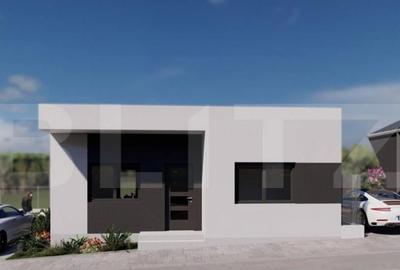 Case de vanzare - zona Viile Satu Mare - 14