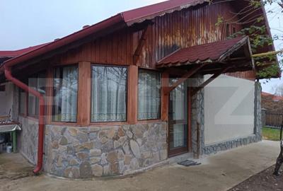 Casa superba Valenii de Munte , Teren Generos 2031 mp ! - 14