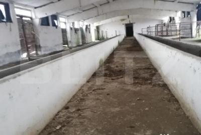 Teren de 63704 mp, în Central - 2