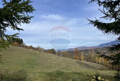 Teren de Vis in Bran - 1000mp Plat, Liniste Absoluta si Aer Curat - 12