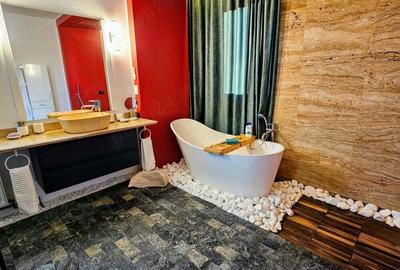 Casă în Remetea Mare - 10