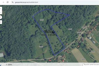 Teren de 1274 mp, în Criș - 8