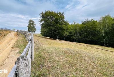 Teren de 17800 mp, în Central - 1