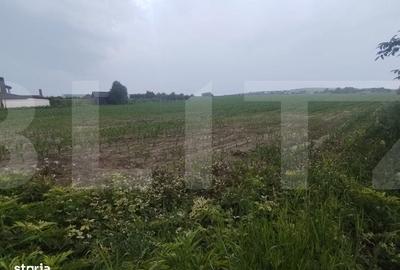 Spațiu comercial, în Orășeni-Deal - 1