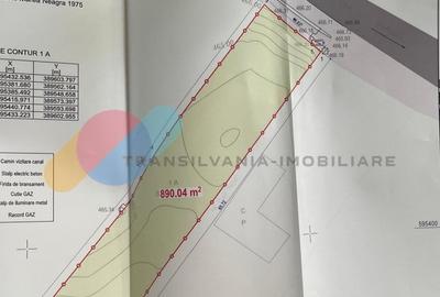 Teren 890mp construibil la intrare in Chinteni - 1