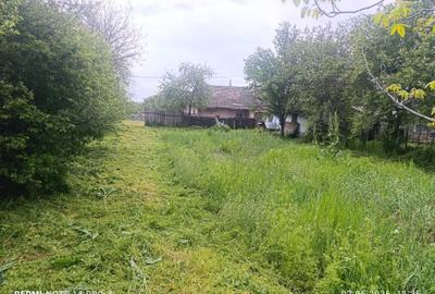 Casă cu 4 camere în Central - 2
