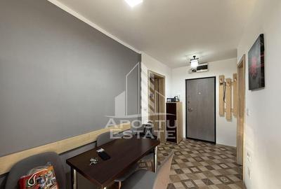 Apartament cu o camera, 38mp, renovat, luminos, zona Lunei - 1