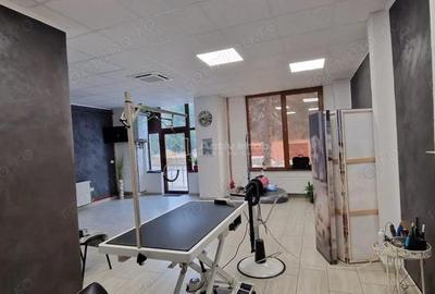 Spațiu comercial, de 50 mp, în Central - 5