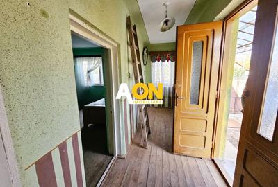 Casă individuală cu 2 camere cu Canalizare în Cetate - 8