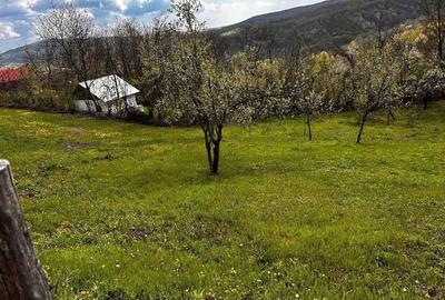 Teren de 2350 mp, în Surani - 10
