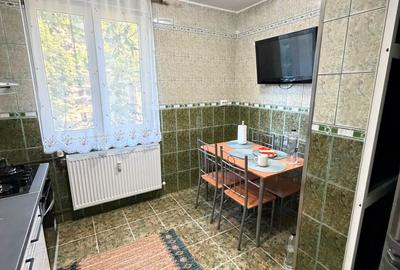 Apartament cu 3 camere semidecomandat în Giurgiului - 1