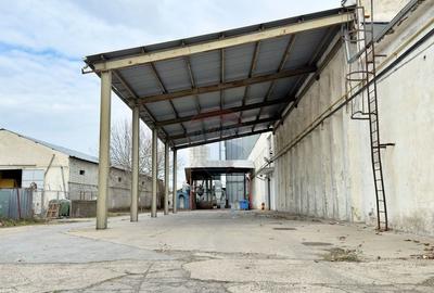 Spațiu industrial, de 6,132 mp, în Aradul Nou - 10