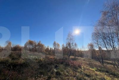 Teren de 1569 mp, în Făget - 3