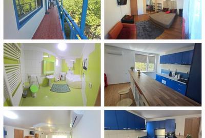 2 camere, in vila, la curte comuna, centrala, pet friendly, Gorjului 2 camere, in vila, la curte comuna, centrala, pet friendly, Gorjului - 3