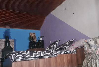 Casă cu 2 camere în Peciu Nou - 5