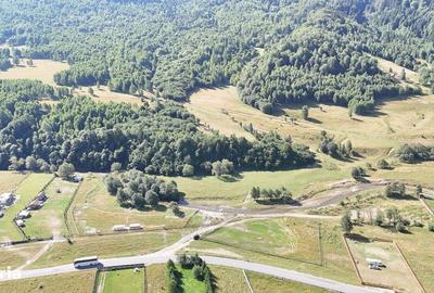 Spațiu comercial, în Plaiul Foii - 3