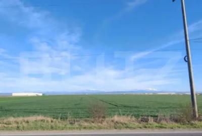Teren de 59000 mp, în Ariceștii Rahtivani - 2