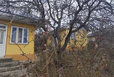 Casă cu Teren 4800 Mp în Stoișești