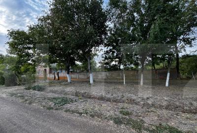 Casa 4 camere cu teren de 3892 mp - 15