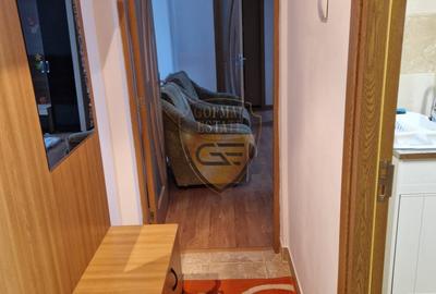 Apartament cu 2 camere semidecomandat, mobilat în Brotăcei - 2
