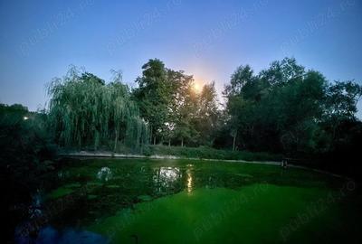 Casă în Dulcești - 8