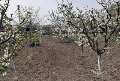 Casă cu 3 camere cu Teren 700 Mp în Central - 8